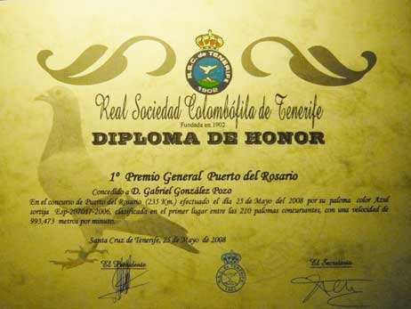 diploma7