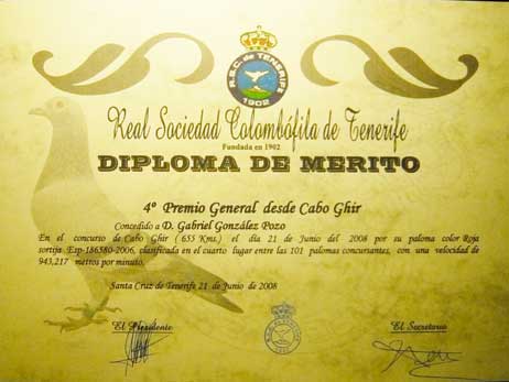 diploma19